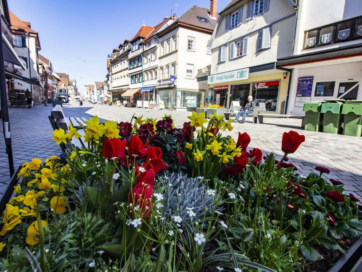 Ferienwohnung Innenstadt Oberkirch  Eksteriør bilde